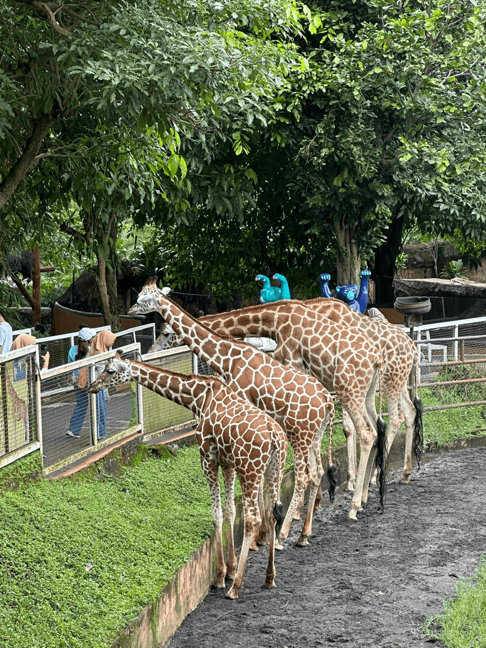 Keluarga mengunjungi rumah reptil di Batu Secret Zoo